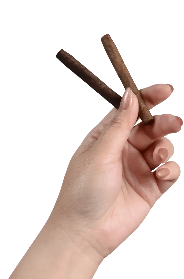 Hand holding cigarillos