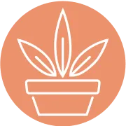 Curated Botanicals
