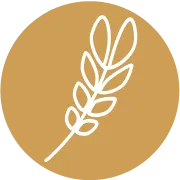 Raintree Leaf